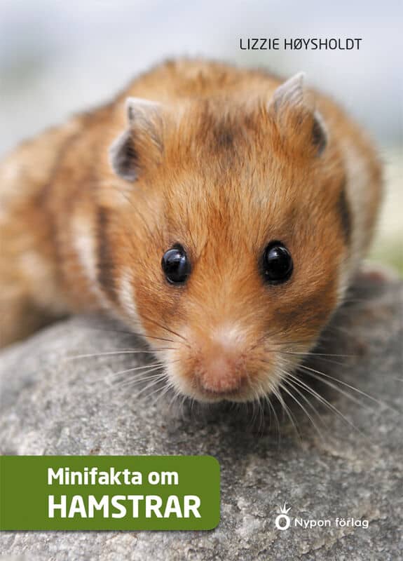 Høysholdt, Lizzie | Minifakta om hamstrar