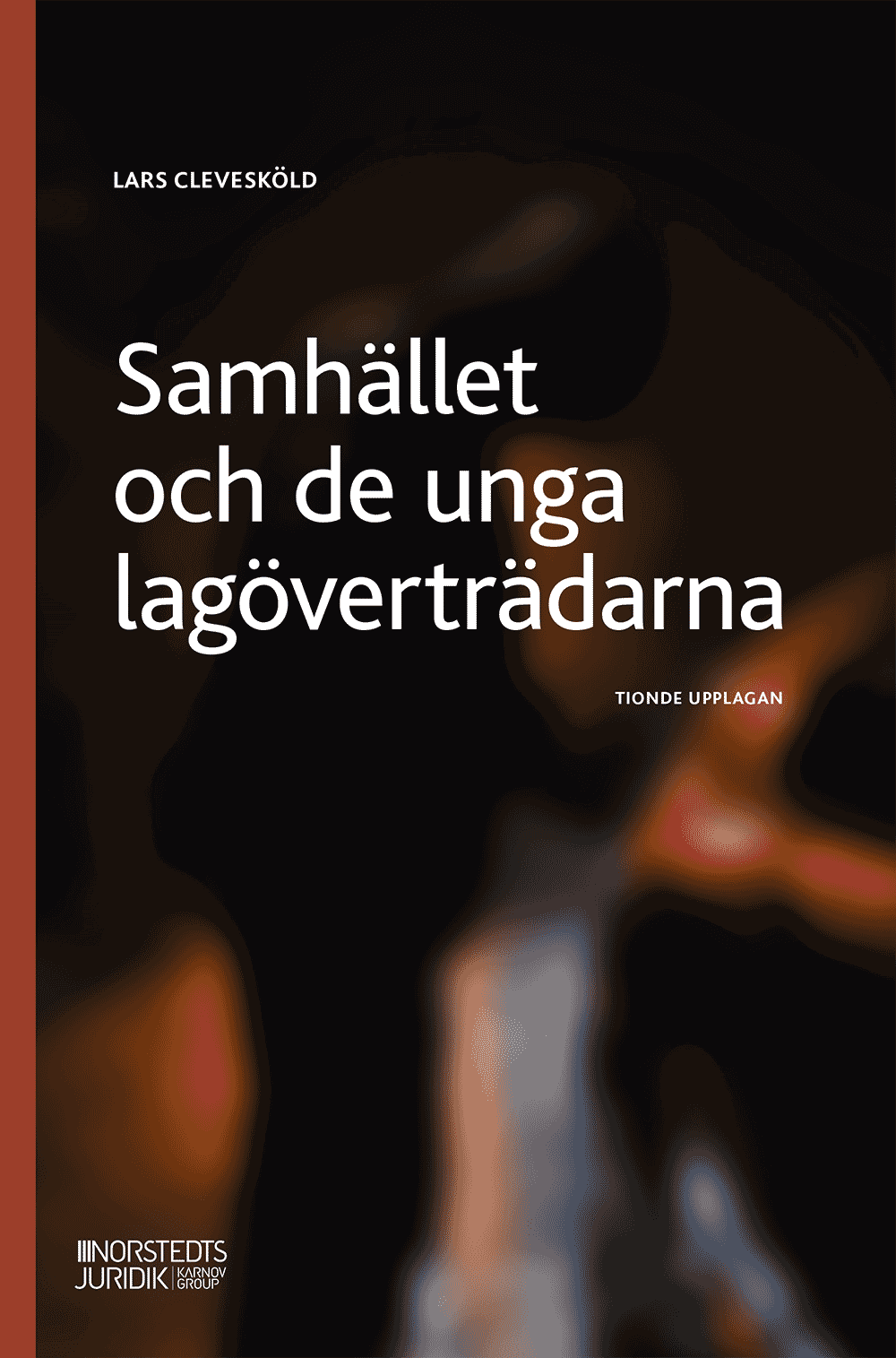 Clevesköld, Lars | Samhället och de unga lagöverträdarna