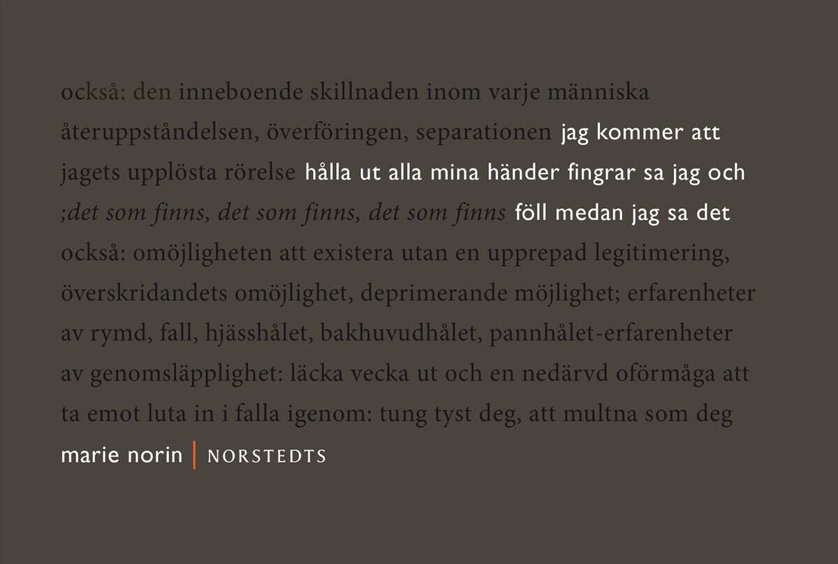 Norin, Marie | jag kommer att hålla ut alla mina händer fingrar sa jag : Och föll medan jag sa det