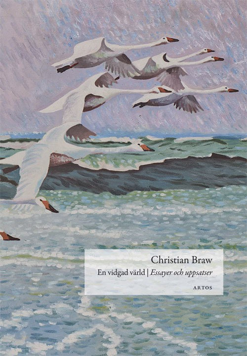 Braw, Christian | En vidgad värld : Essayer och uppsatser