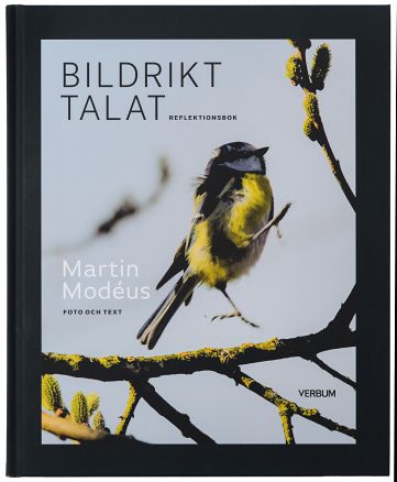 Modéus, Martin | Bildrikt talat : Reflektionsbok