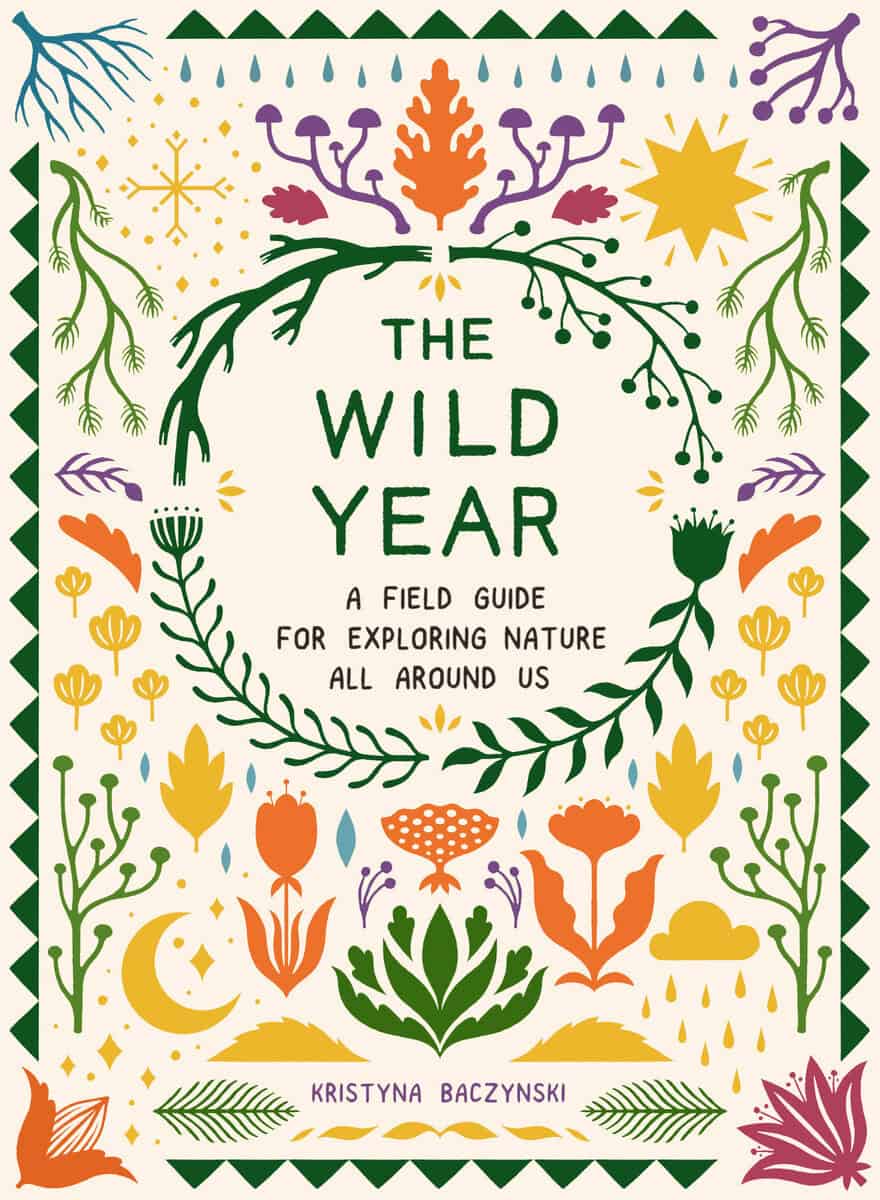 Kristyna Baczynski | Wild Year : A Field Guide for Exploring Nature All Around Us