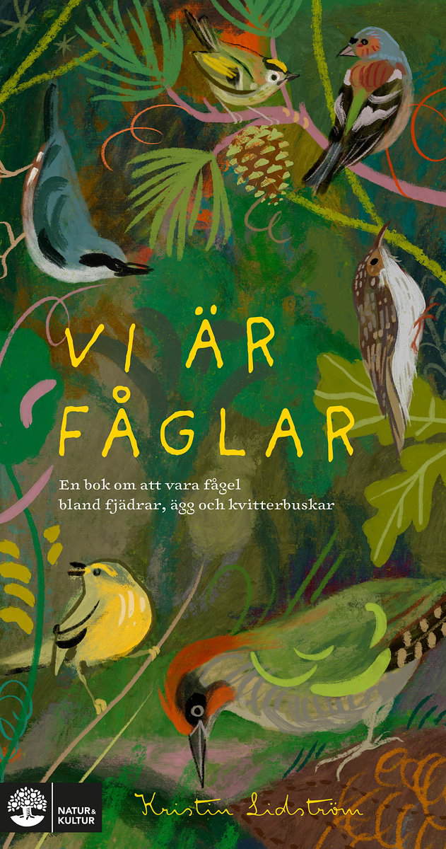 Lidström, Kristin | Vi är fåglar : En bok om att vara fågel bland fjädrar, ägg och kvitterbuskar