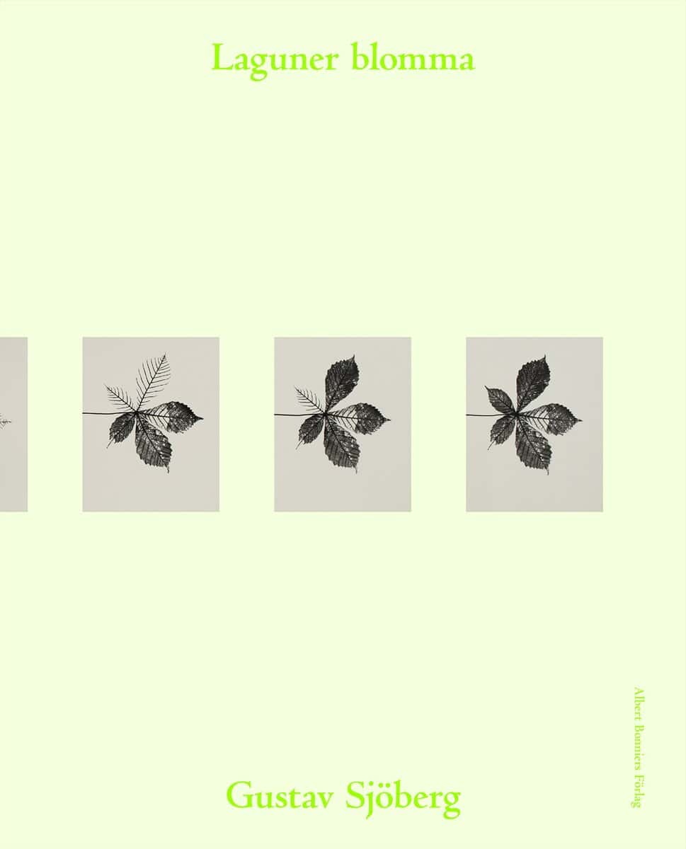 Sjöberg, Gustav | Laguner blomma