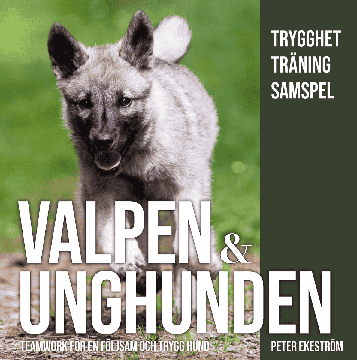 Ekeström, Peter | Valpen & unghunden : Teamwork för en följsam och trygg hund