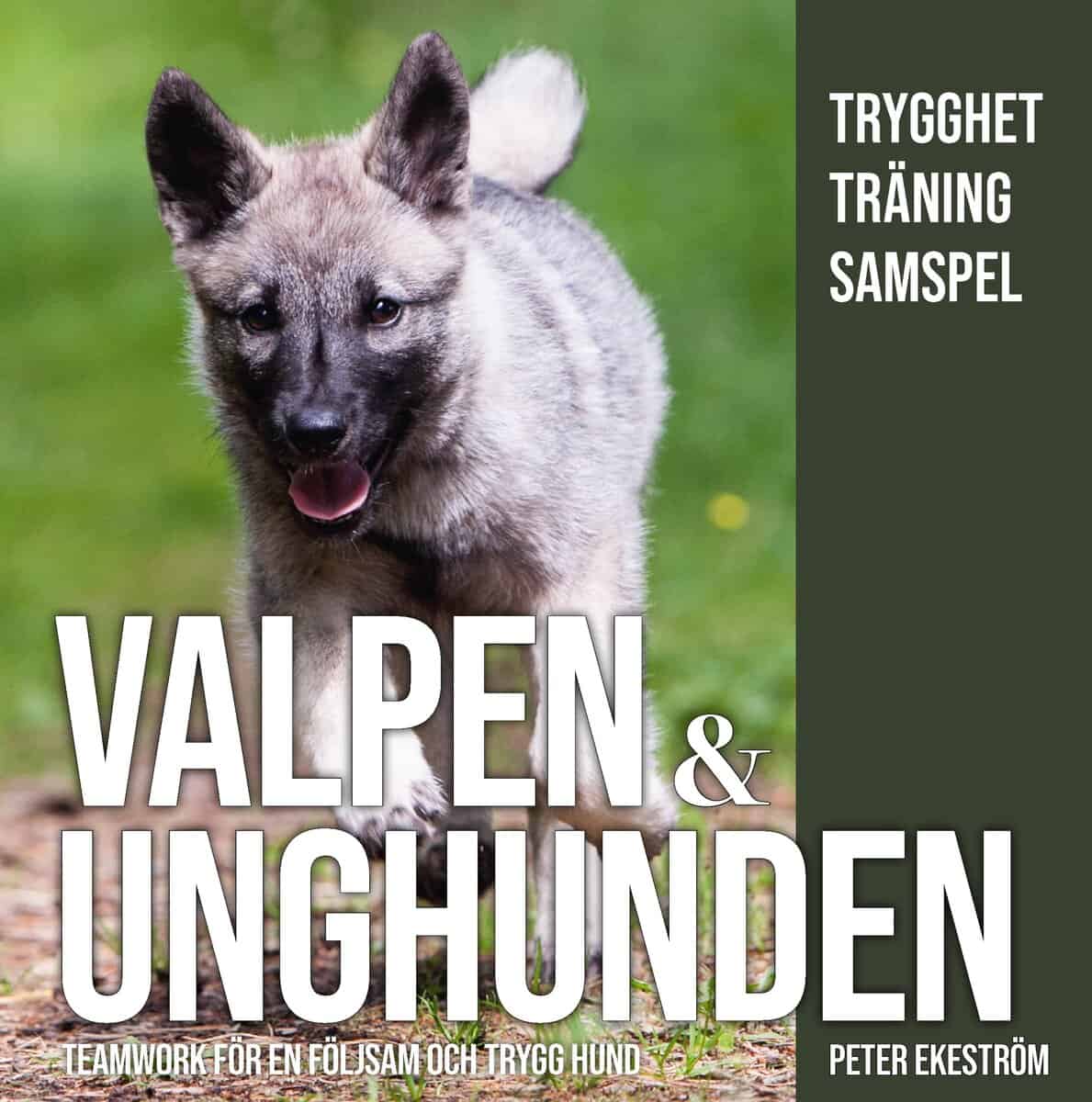 Ekeström, Peter | Valpen & unghunden : Teamwork för en följsam och trygg hund