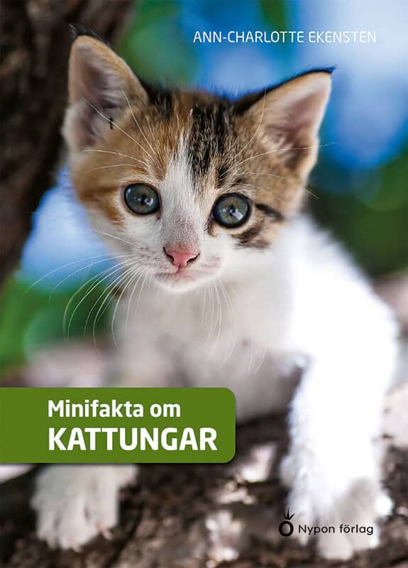Ekensten, Ann-Charlotte | Minifakta om kattungar