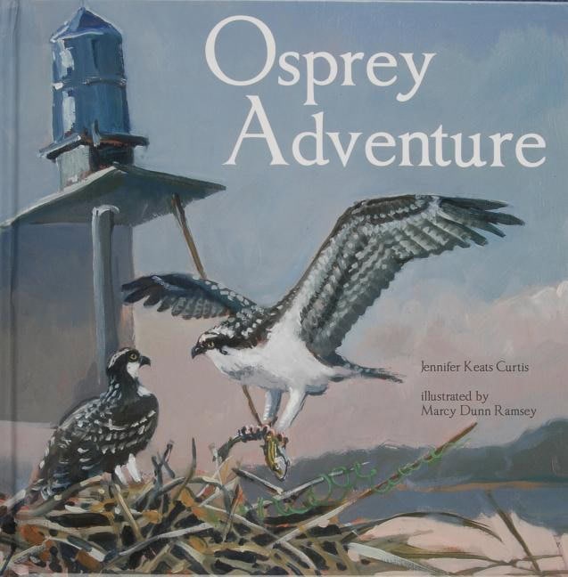 Jennifer Keats Curtis | Osprey Adventure