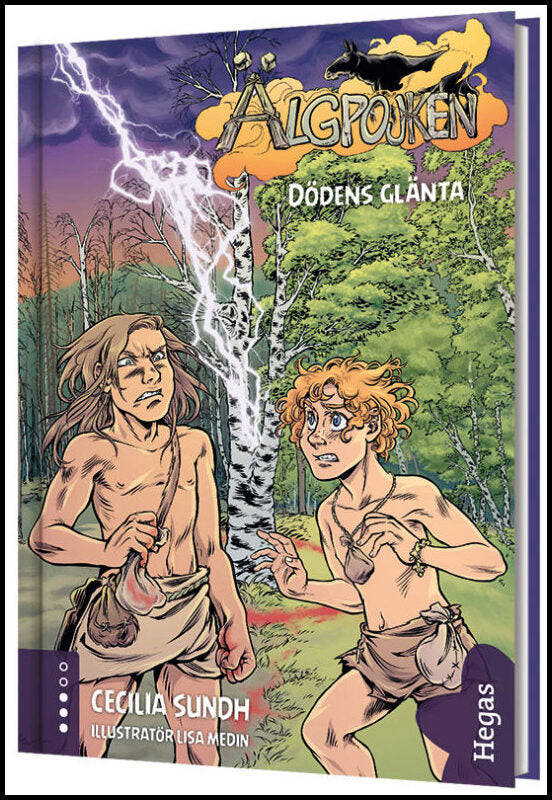 Sundh, Cecilia | Dödens glänta