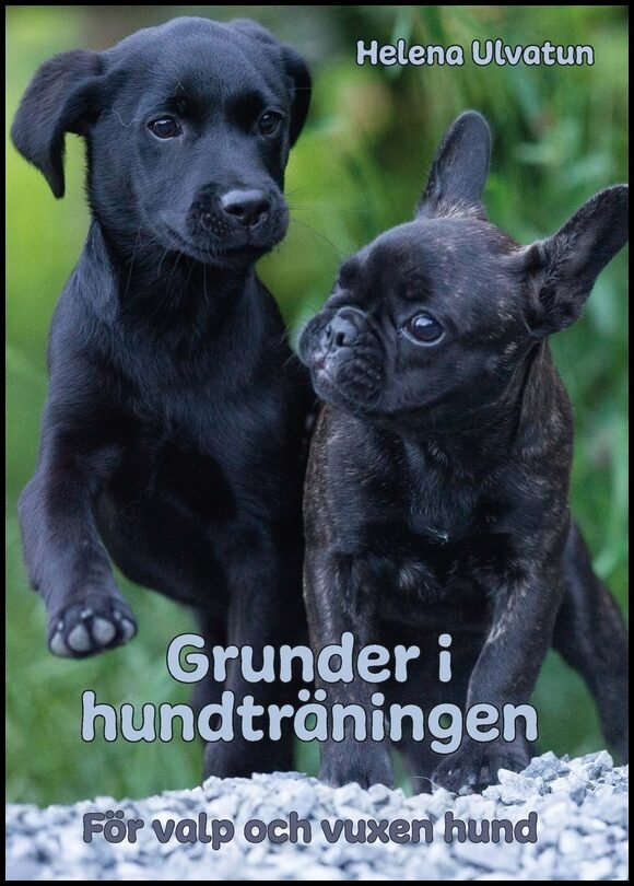 Ulvatun, Helena | Grunder i hundträningen : För valp och vuxen hund