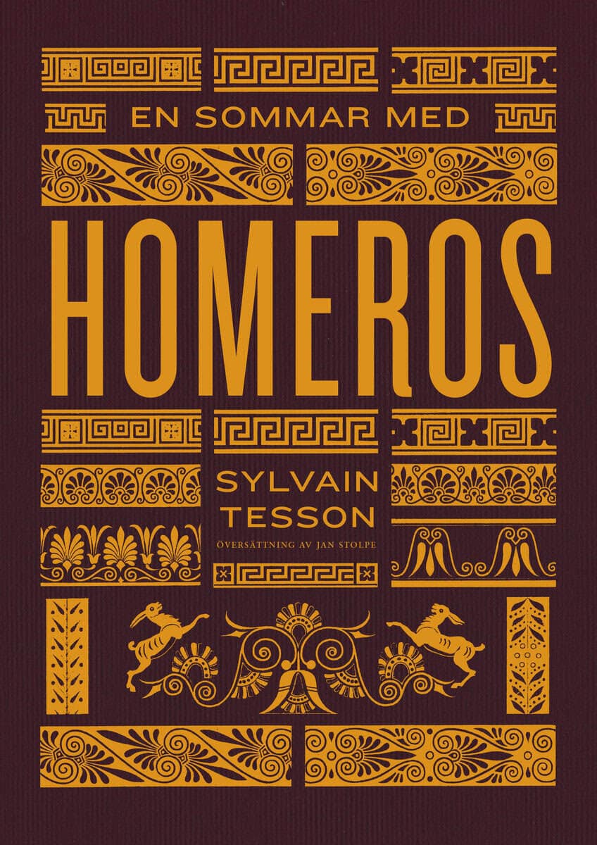 Tesson, Sylvain | En sommar med Homeros