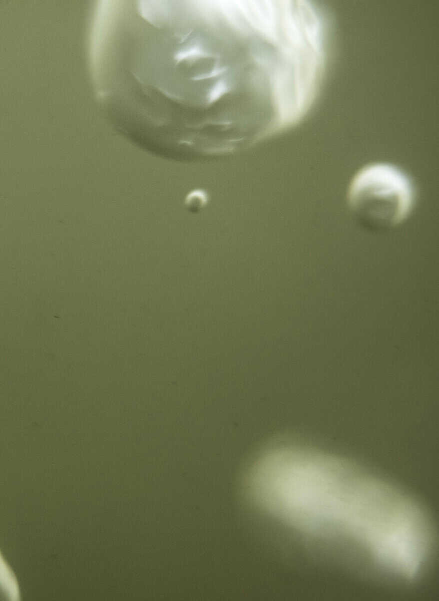 Bergendal, Nils | Den svunna ön