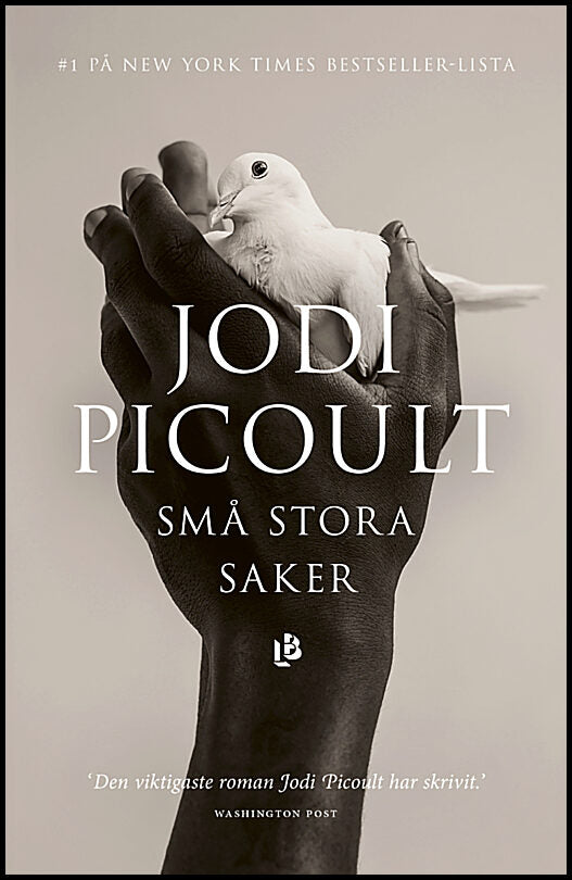Picoult, Jodi | Små stora saker