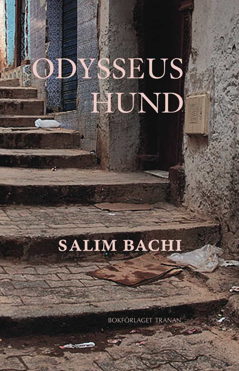 Bachi, Salim | Odysseus hund