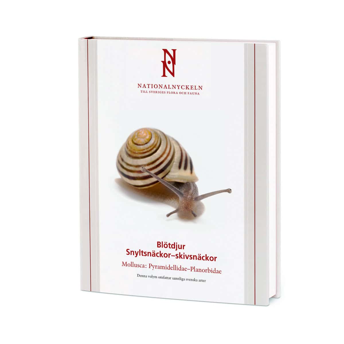 Proschwitz, Ted von | Roth, Jonas | Lundin, Kennet | Blötdjur : Snyltsnäckor – skivsnäckor: Mollusca Pyramidellidae–Plan...