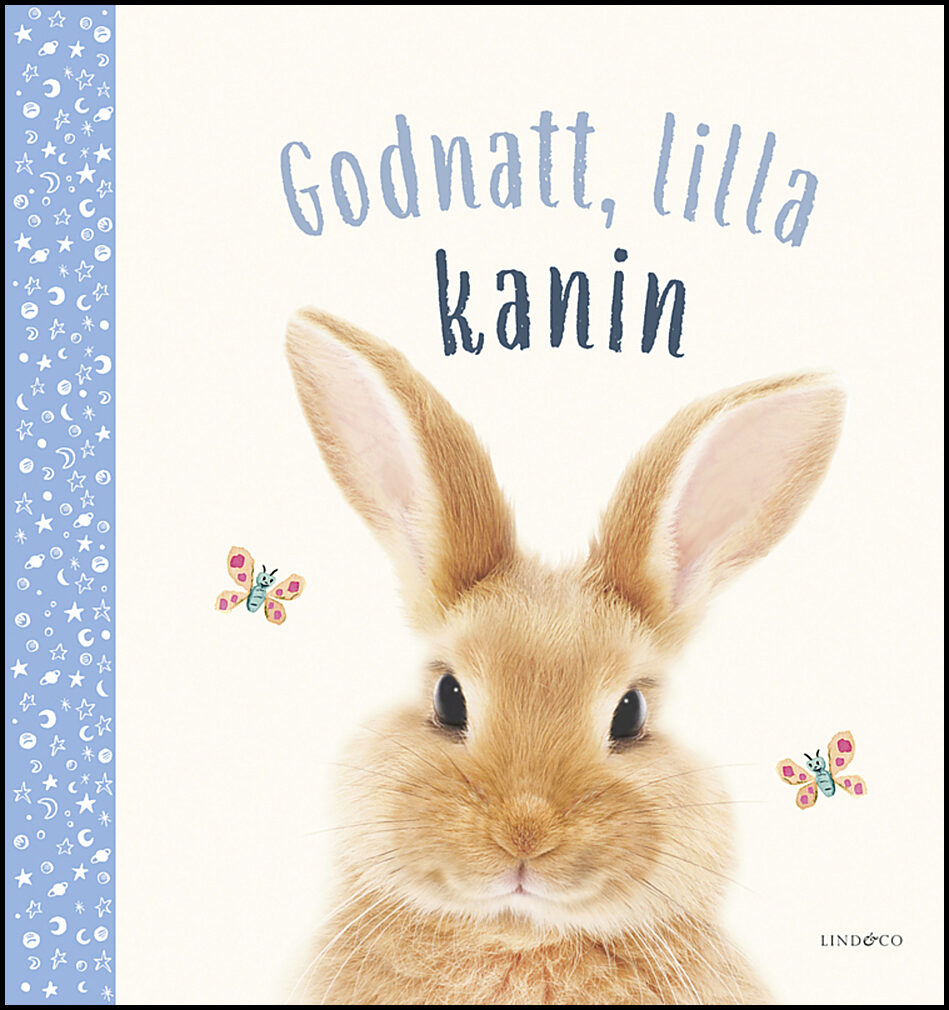 Wood, Amanda | God natt, lilla kanin
