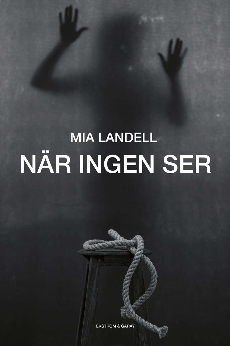 Landell, Mia | När ingen ser