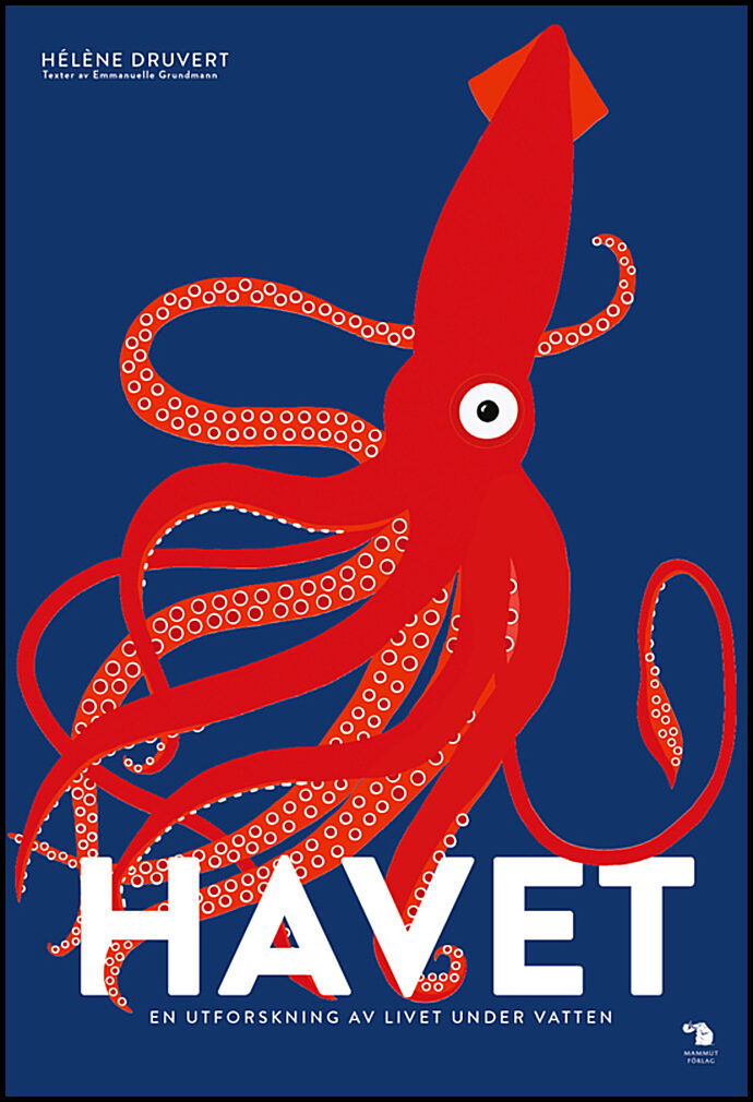 Grundmann, Emmanuelle | Havet : En utforskning av livet under vatten