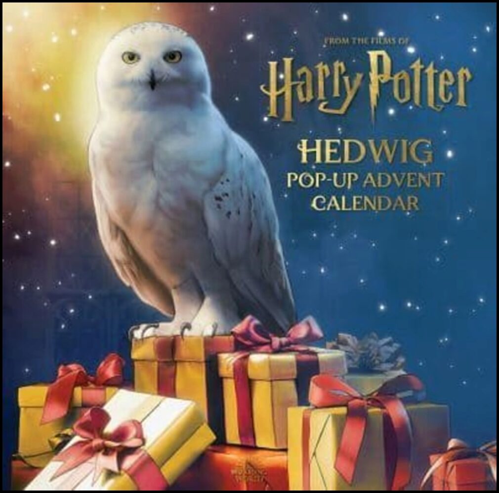 Reinhart, Matthew | Harry Potter : Hedwig Pop-up Advent Calendar