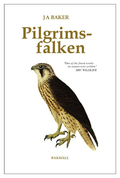 Baker, J. A. | Pilgrimsfalken