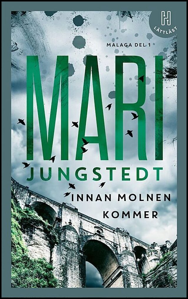 Jungstedt, Mari | Innan molnen kommer (lättläst)