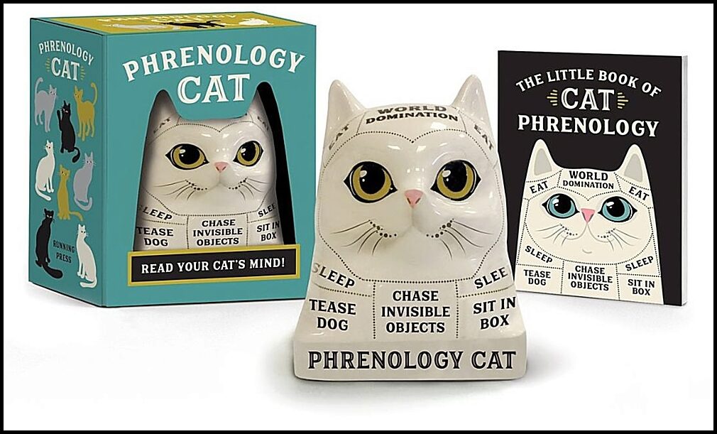 Marlo Scrimizzi | Phrenology Cat