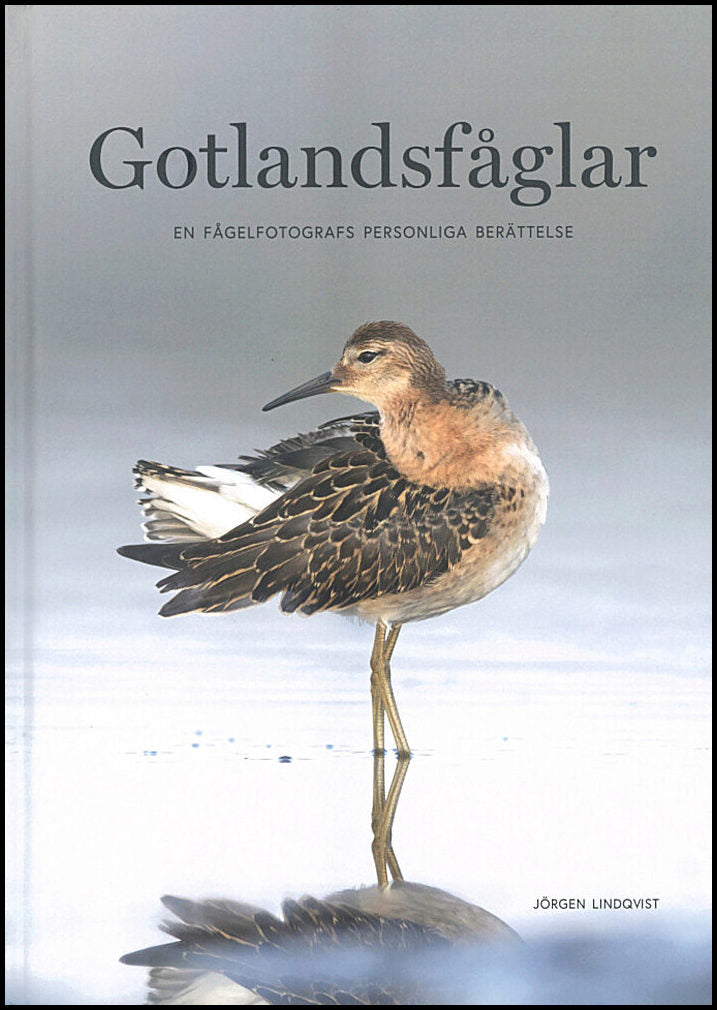 Lindqvist, Jörgen | Gotlandsfåglar