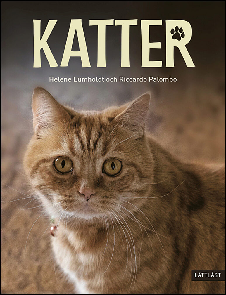 Lumholdt, Helene | Katter