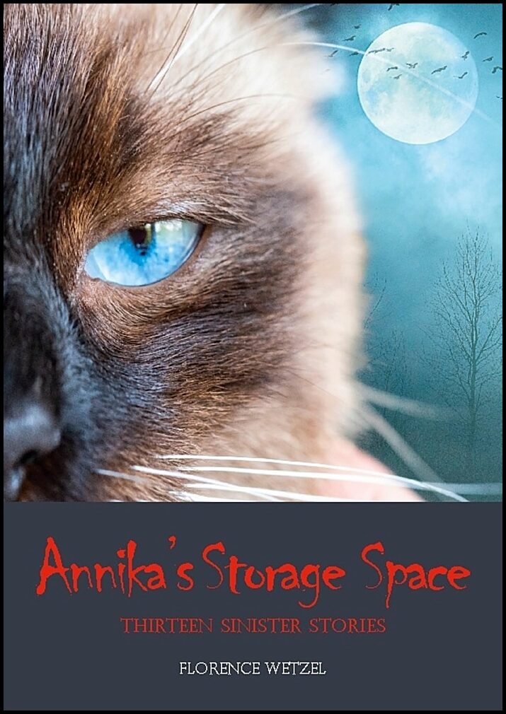 Wetzel, Florence | Annika's storage space : Thirteen sinister stories