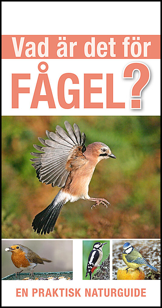 Hume, Rob | Vad är det för fågel?