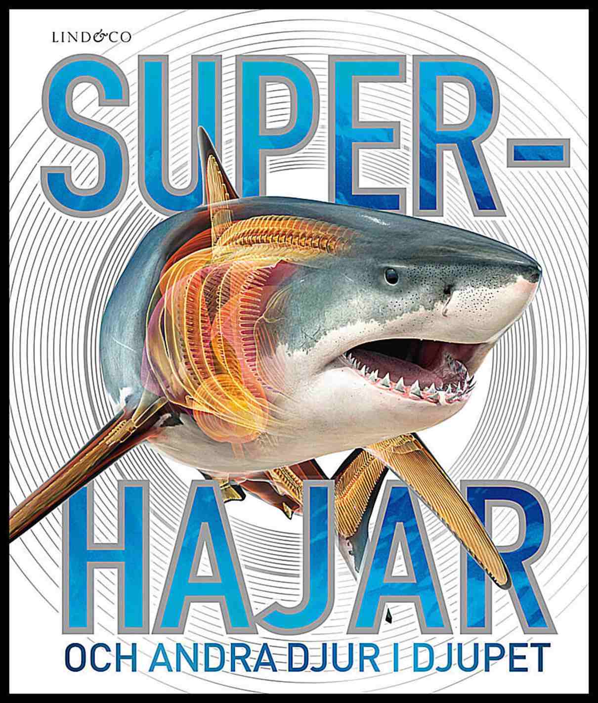 Harvey, Derek | Superhajar : Och andra djur i djupet