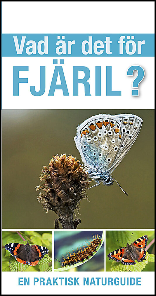 Jackson, Tom | Vad är det för fjäril?