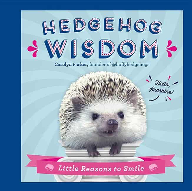 Carolyn Parker | Hedgehog Wisdom Hb : New Edition