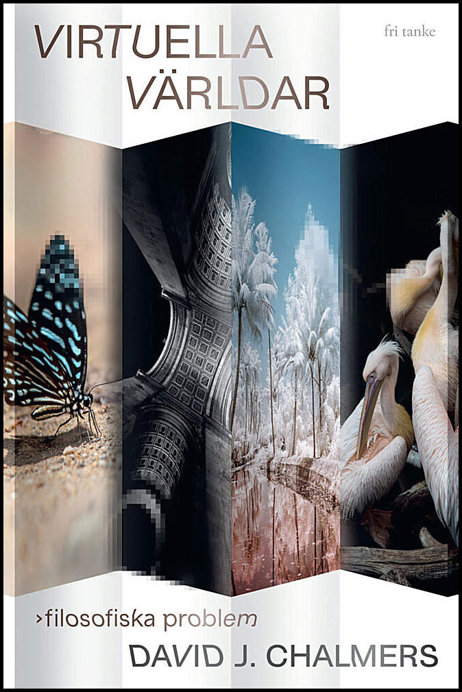 Chalmers, David J. | Virtuella världar : Filosofiska problem