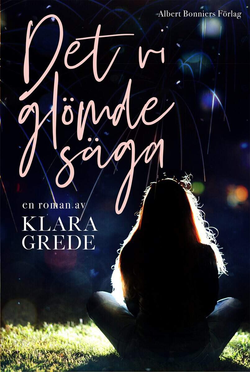 Grede, Klara | Det vi glömde säga