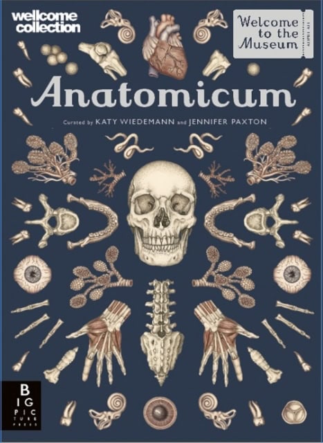 Paxton, Jennifer | Anatomicum