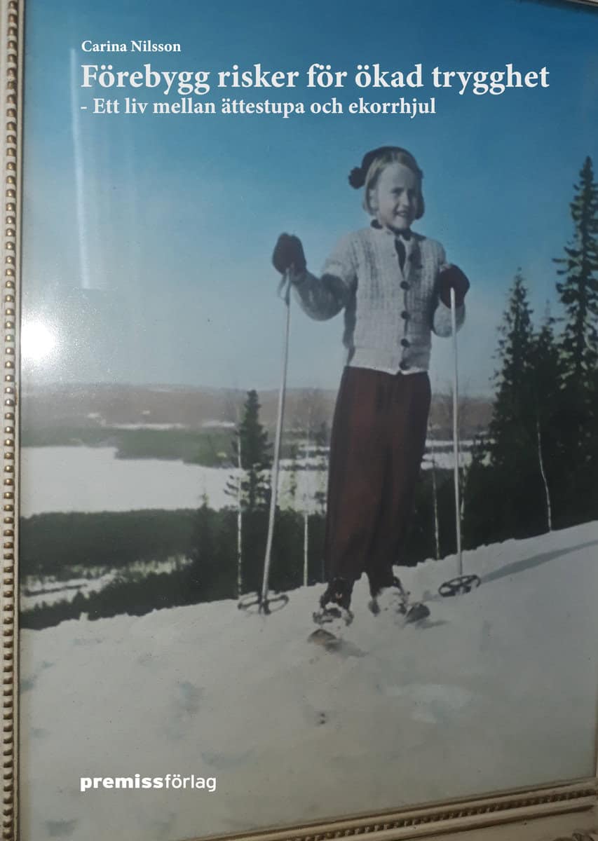 Nilsson, Carina | Förebygg risker för ökad trygghet : Ett liv mellan ättestupa och ekorrhjul