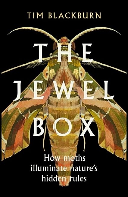 Blackburn, Tim | The Jewel Box