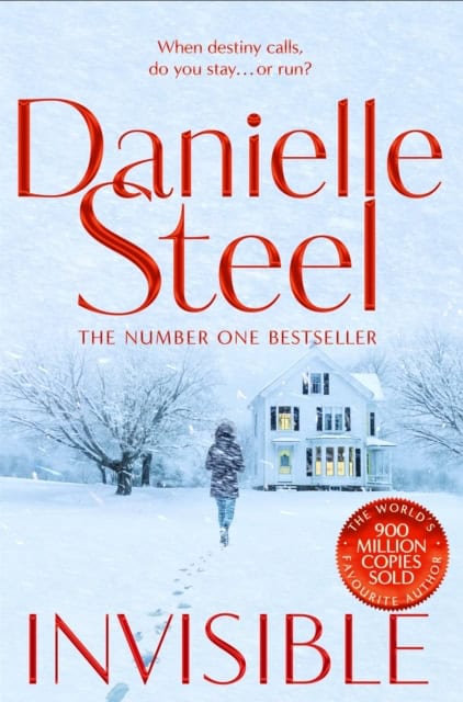 Steel, Danielle | Invisible