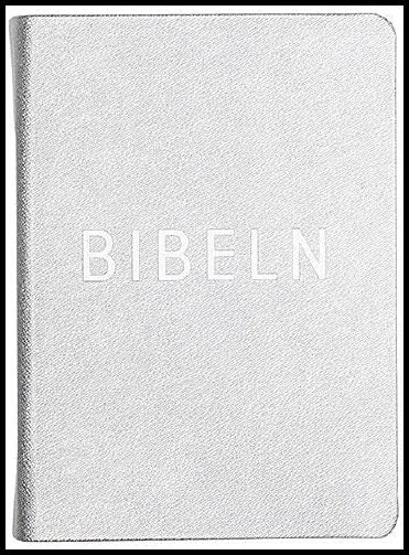 Bibel konfirmand silver