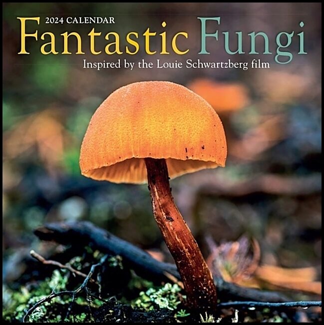 Schwartzberg, Louie | Fantastic Fungi Wall Calendar 2024