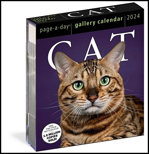 Calendars, Workman | Cat Page-A-Day Gallery Calendar 2024
