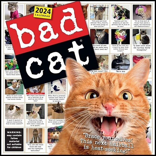 Calendars, Workman | Bad Cat Wall Calendar 2024