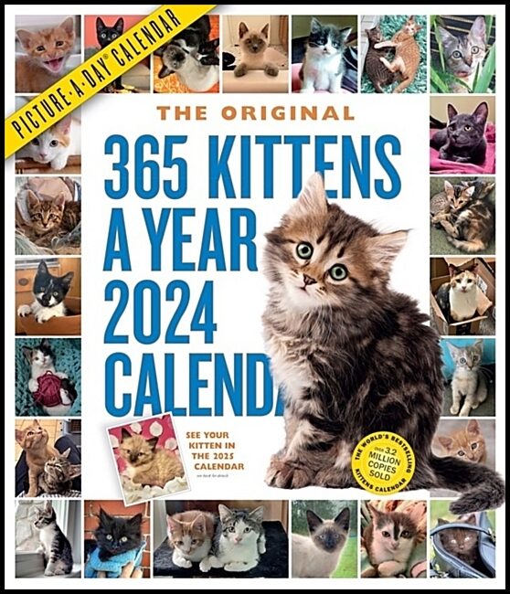 Calendars, Workman | 365 Kittens-A-Year Picture-A-Day Wall Calendar 2024