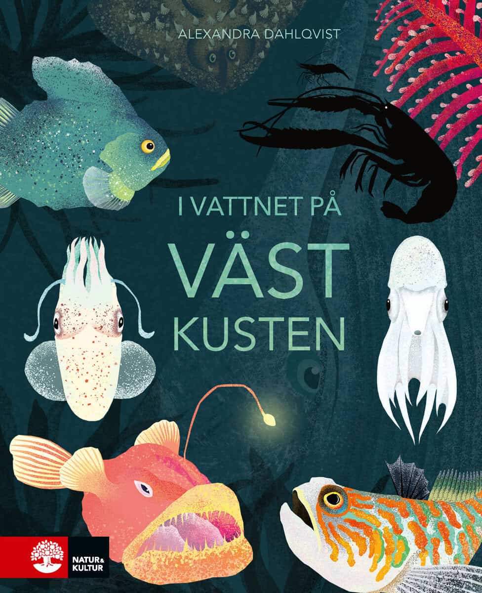 Dahlqvist, Alexandra | I vattnet på västkusten : Value, object or array expected.* Line 1, Column 2 Extra non-whitespac...