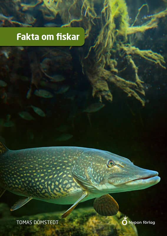 Dömstedt, Tomas | Fakta om fiskar