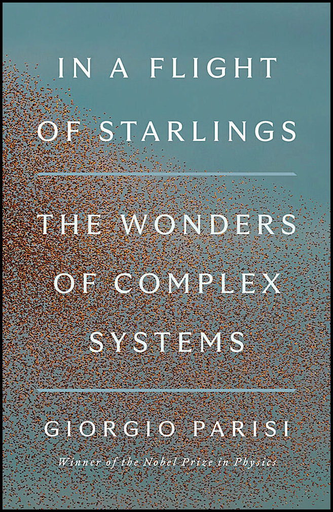 Parisi, Giorgio | In a Flight of Starlings