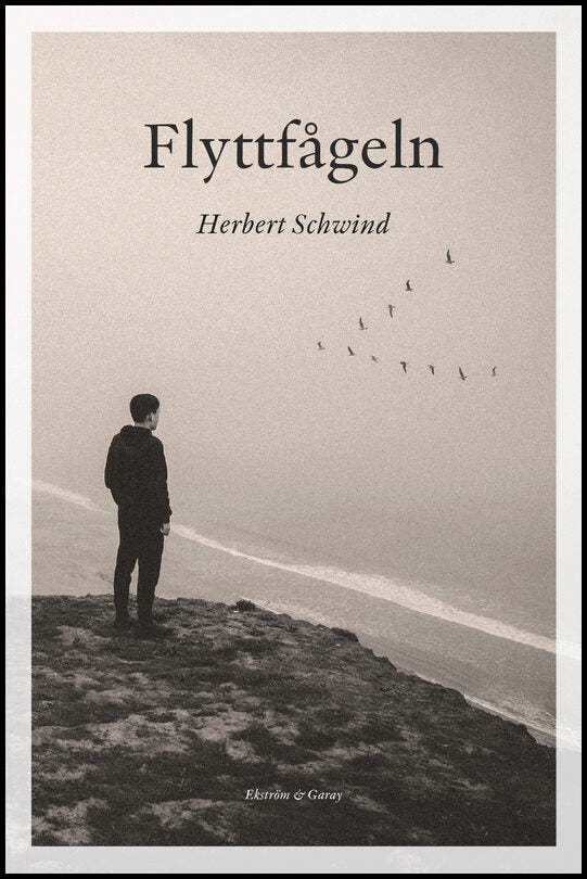 Schwind, Herbert | Flyttfågeln
