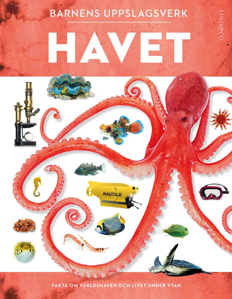 Macquitty, Miranda | Barnens uppslagsverk. Havet