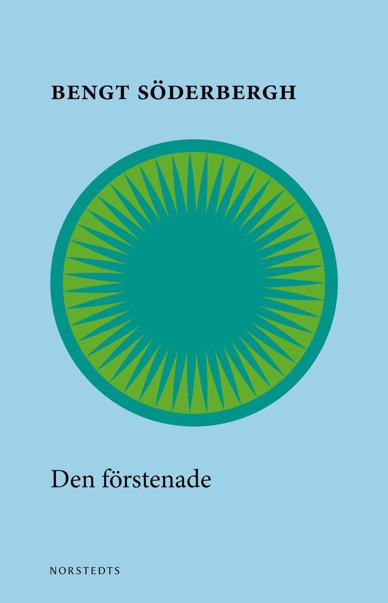 Söderbergh, Bengt | Den förstenade